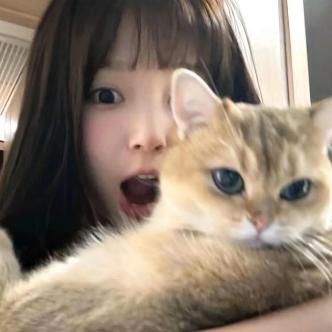 小猫像鱼oO
