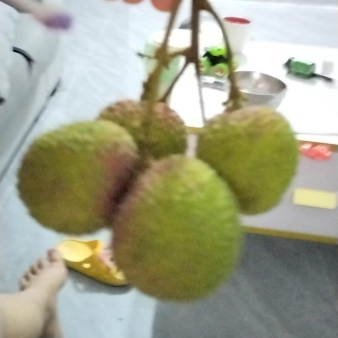 @兔子爱夹心奶酪棒👄