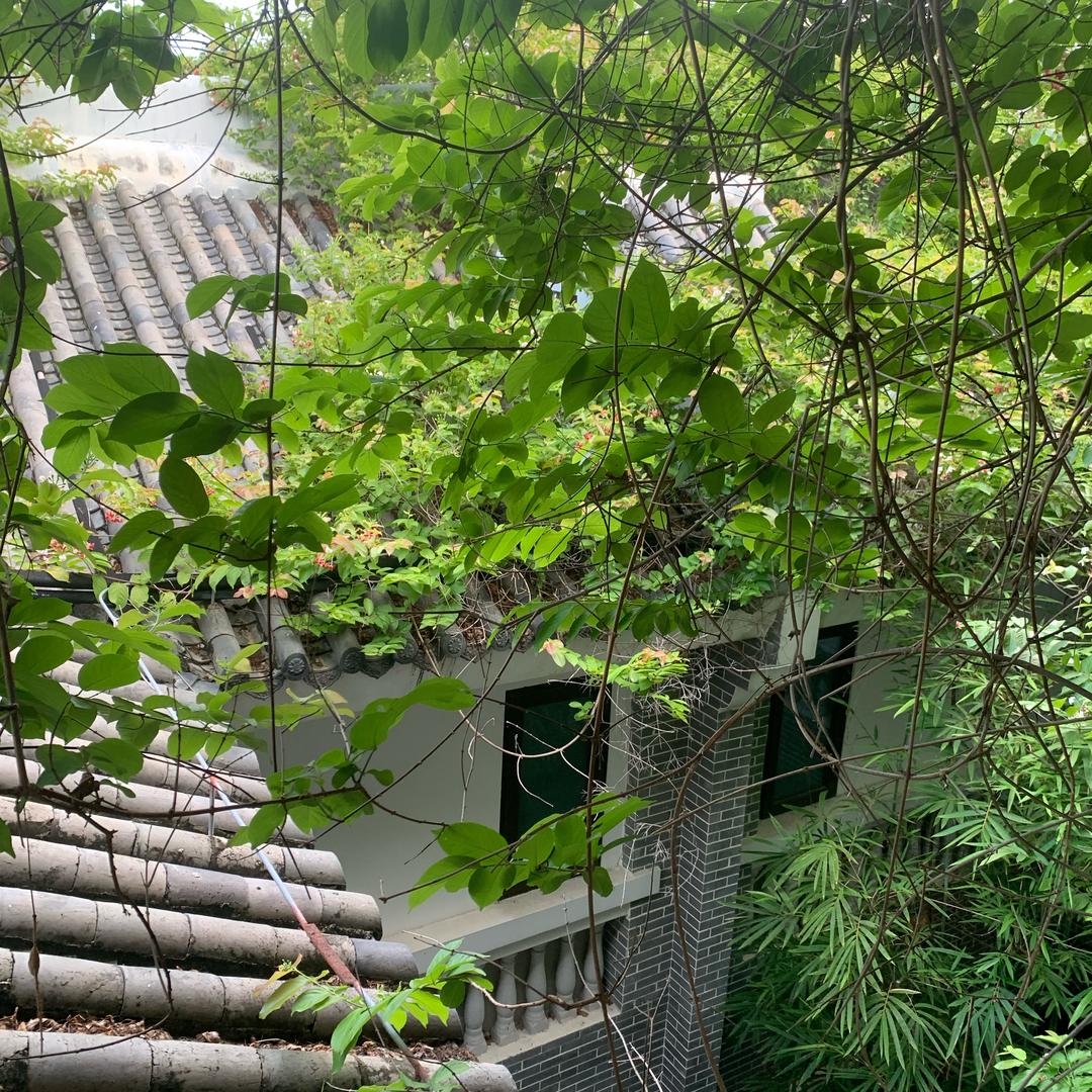 喜欢青冈的岳半章头像