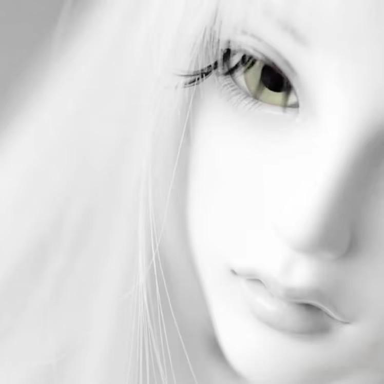 王宝宝