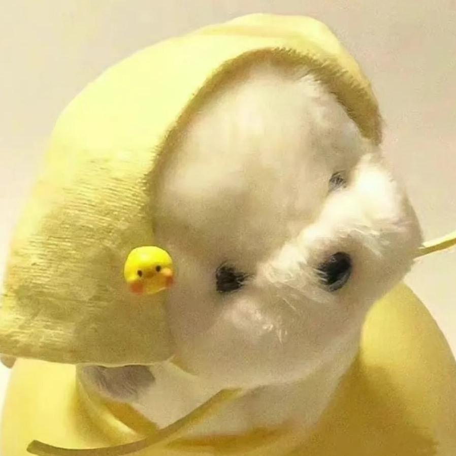 棒打宁宁檬🍋(｡ì _ í｡)