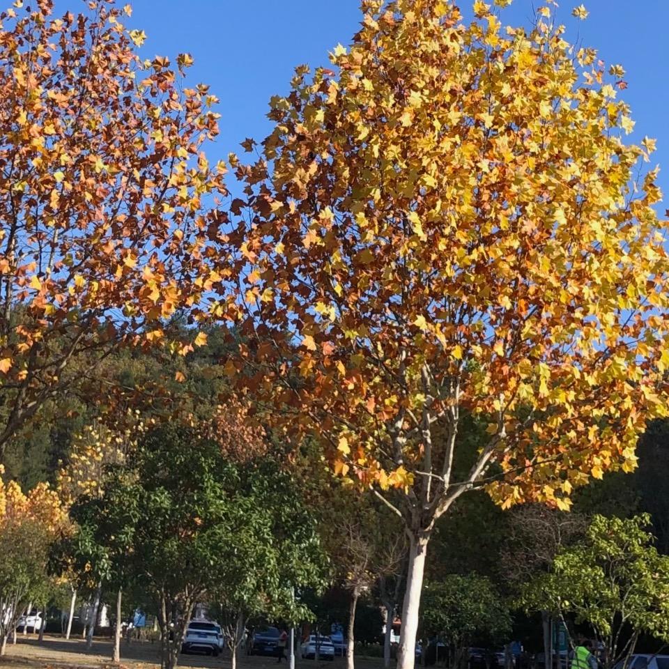 心里有团火