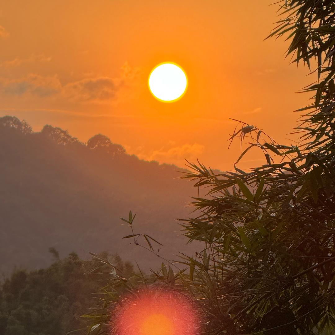 四大皆空🇨🇳⚽️洛杉矶🇺🇸