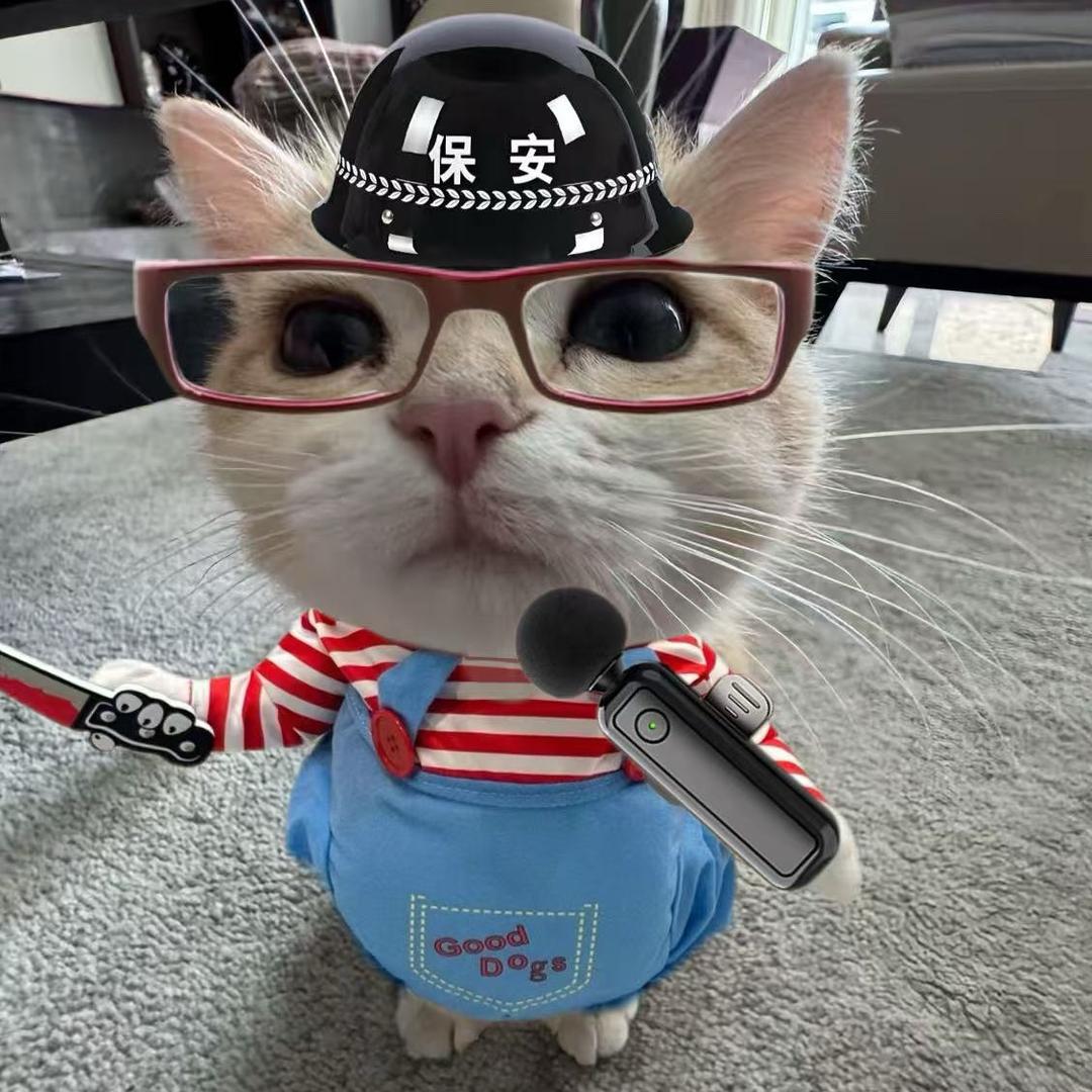 教英语的猫博士