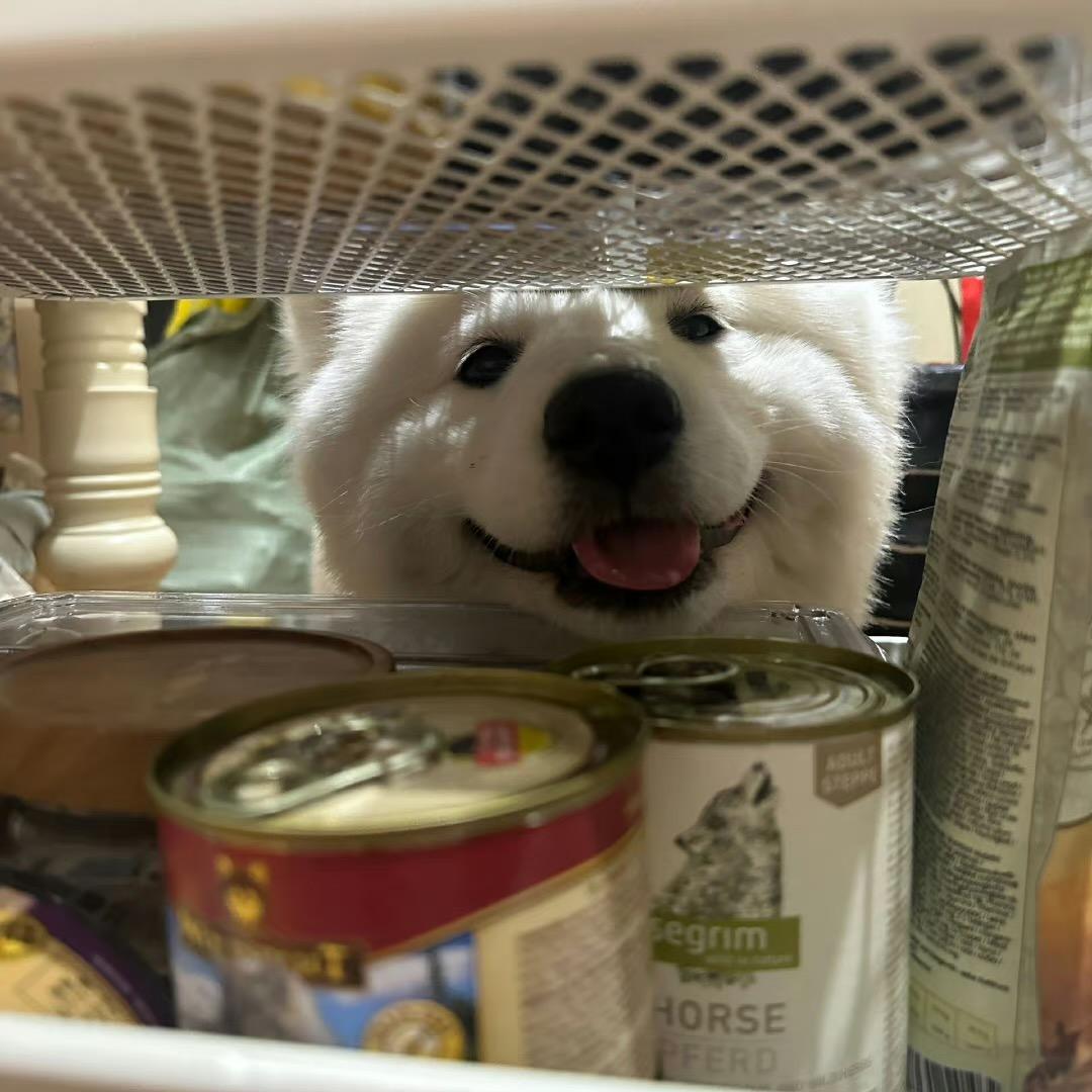 阿祖专享的小店