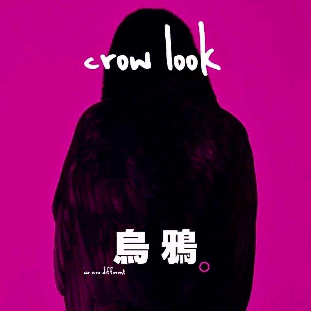 乌鸦摄影crowlook