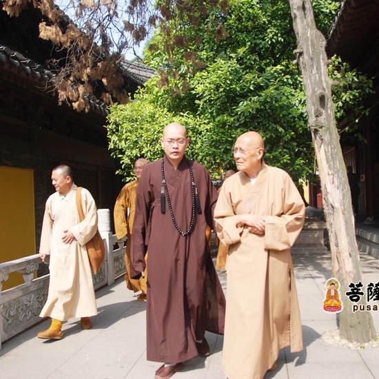 青尘