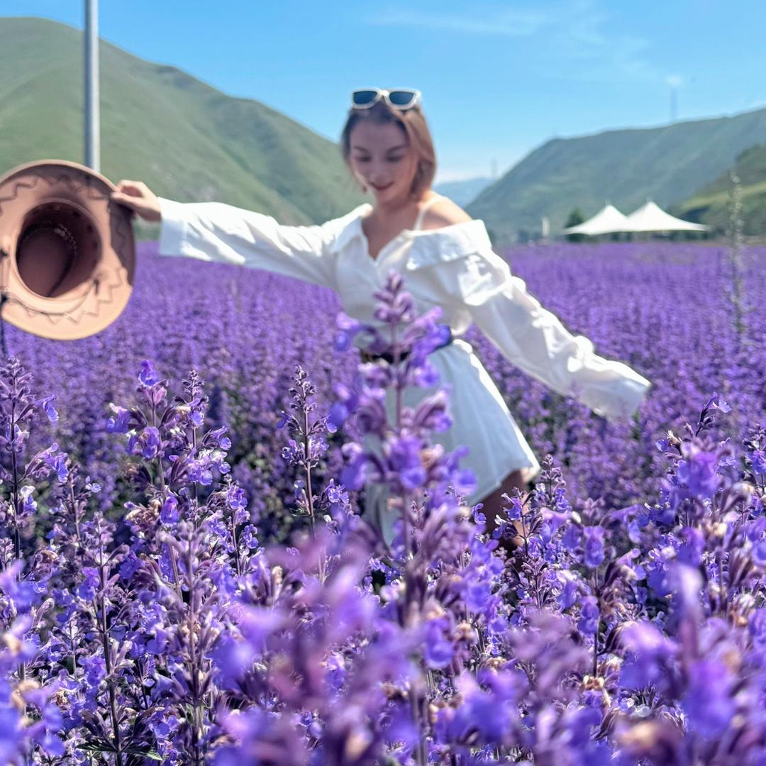 小周周不吃香菜🙃