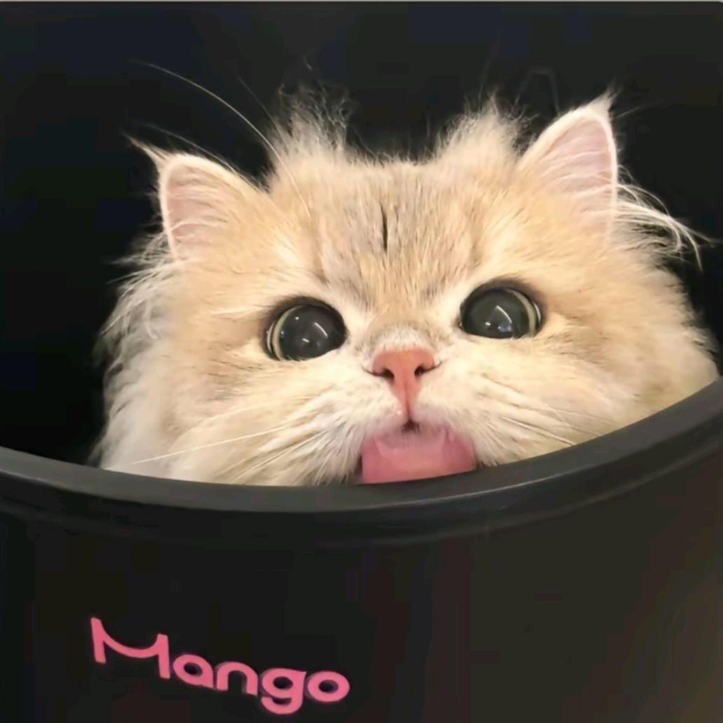 ₍˄·͈༝·͈˄*₎◞ ̑̑