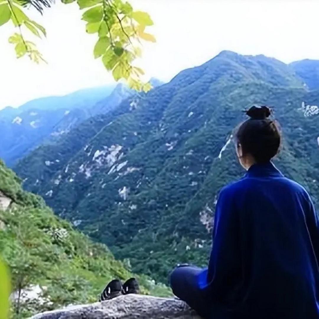 山林居士