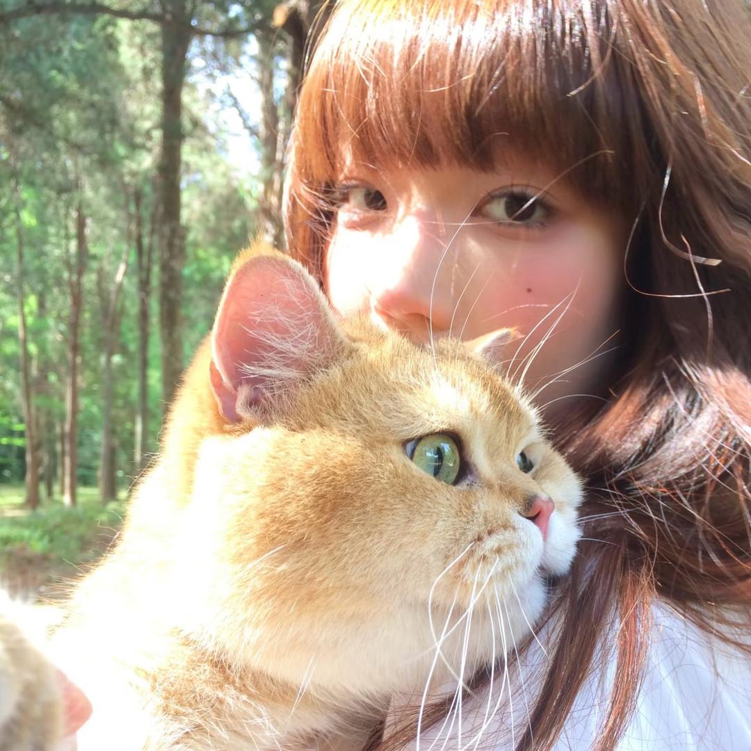 我要吃抹茶年糕