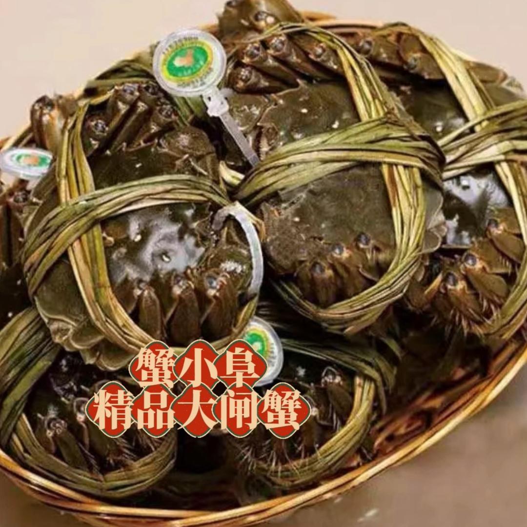 蟹小阜大闸蟹BDBZ(焦阳路店)专用号