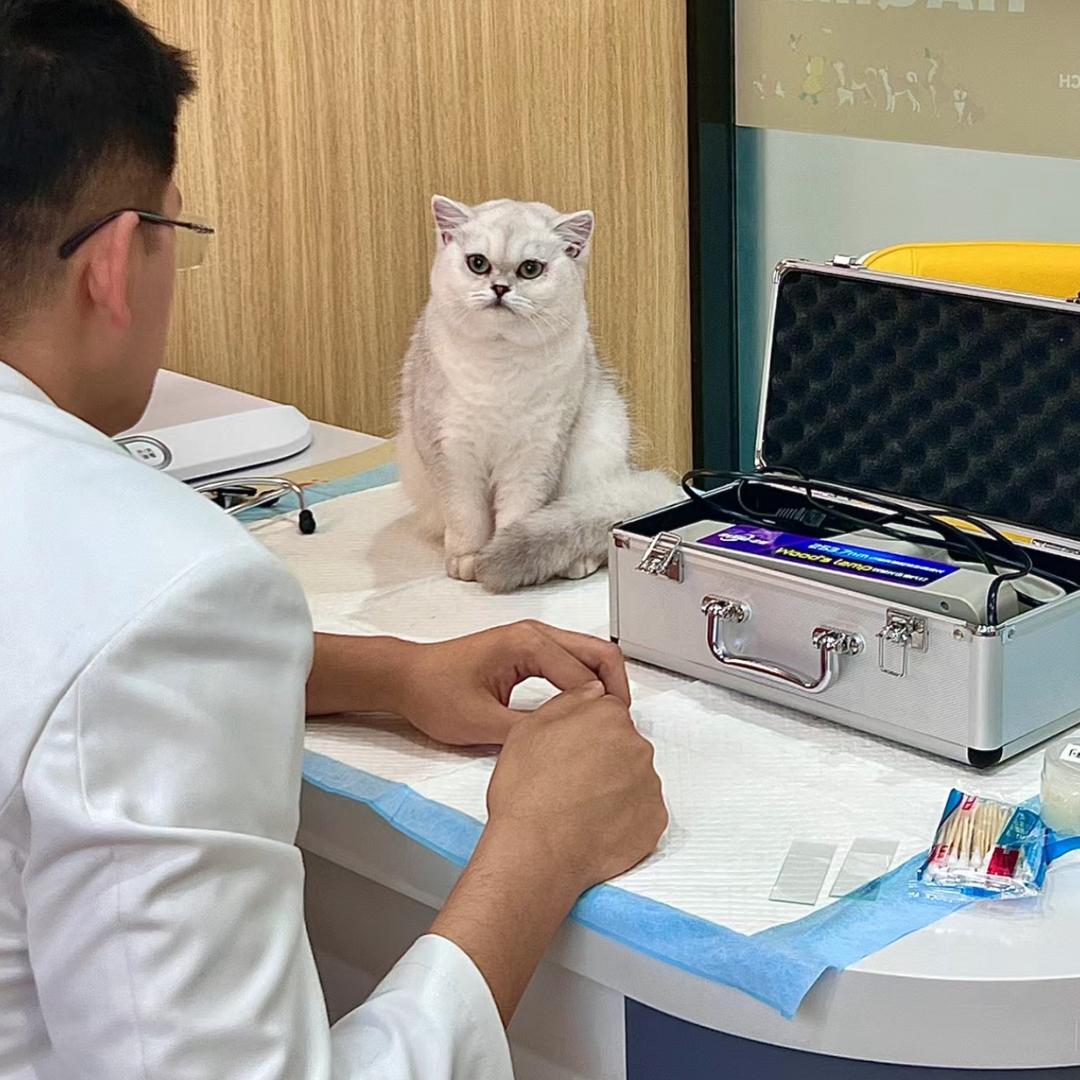 职业动物学家-陈伦