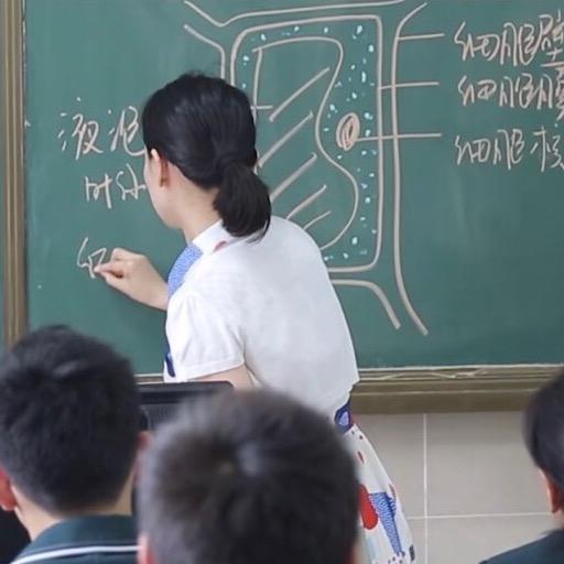 高中宋老师