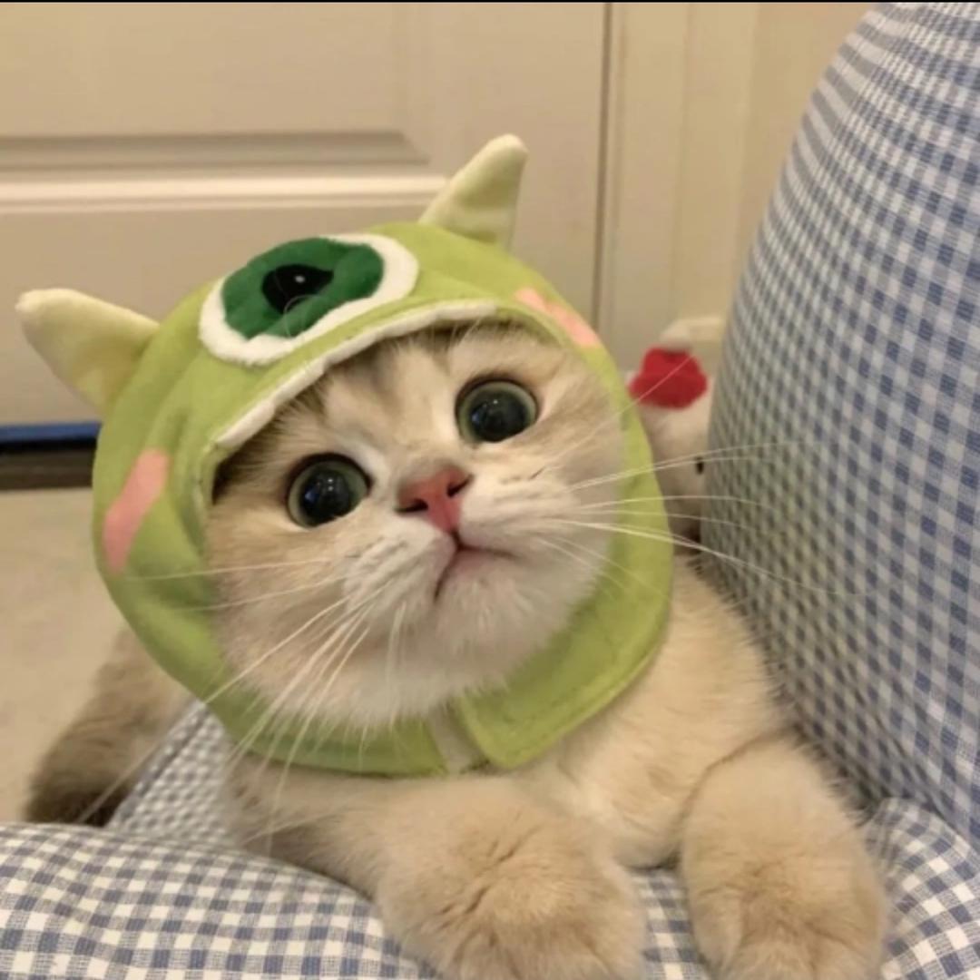 颜兮