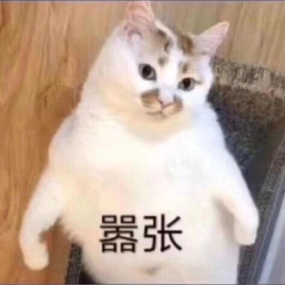 🦄张小飞