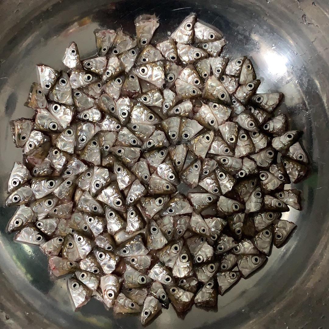 通溪是鱼