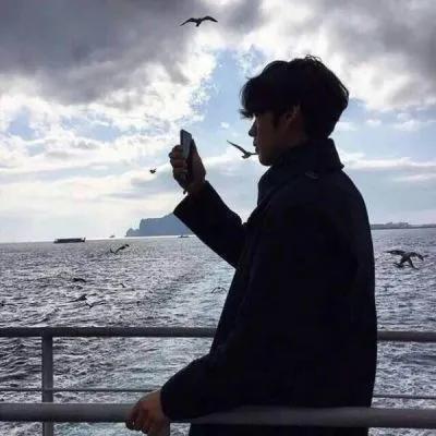 远方的鲸鱼🐳