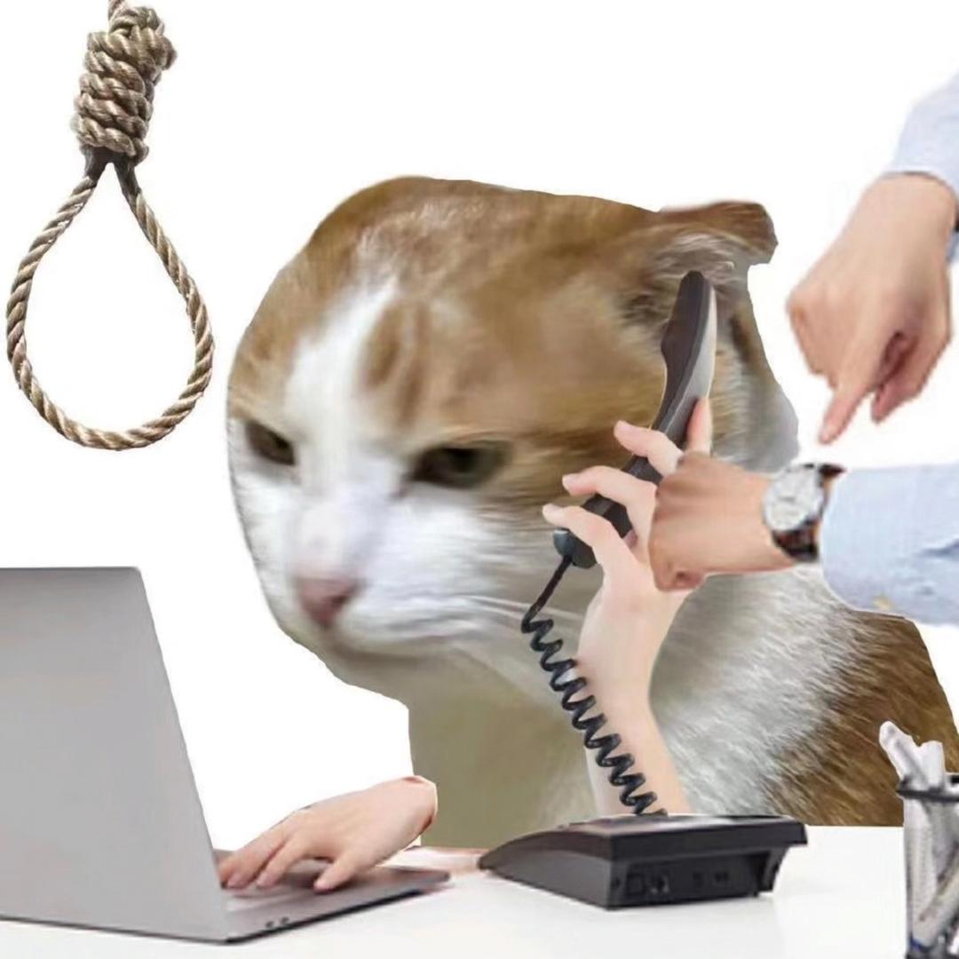 只敢怒一下。