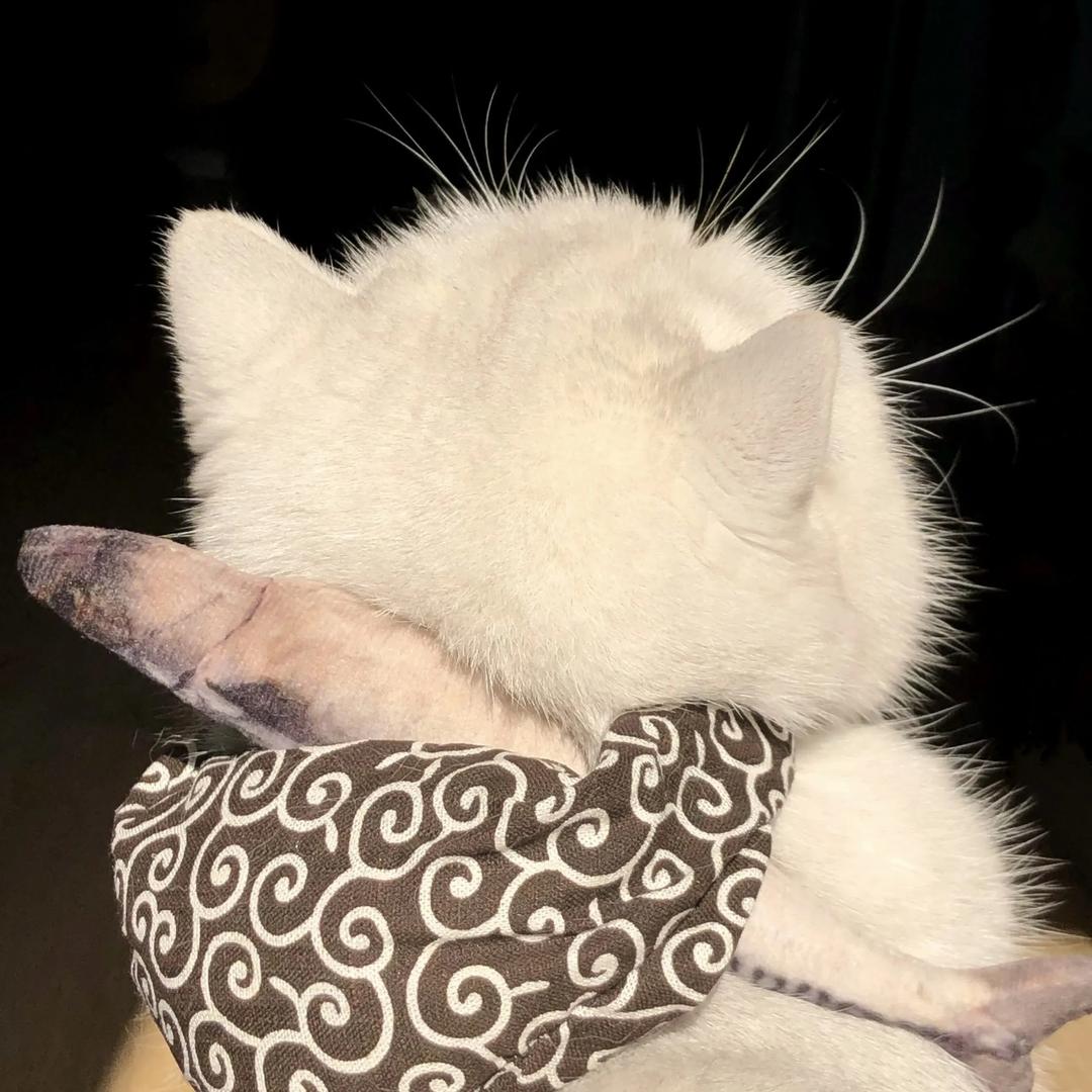 怎么吃不饱🥡（三角洲行动）