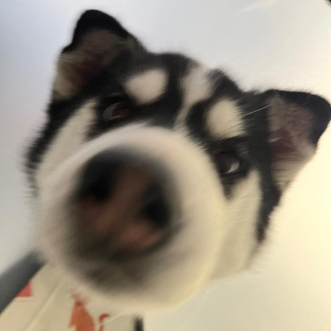 怪物.