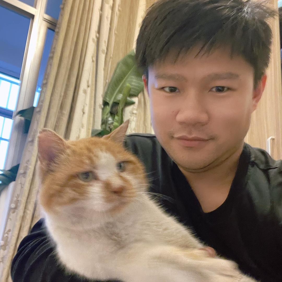 熊二和猫（停播至20号）