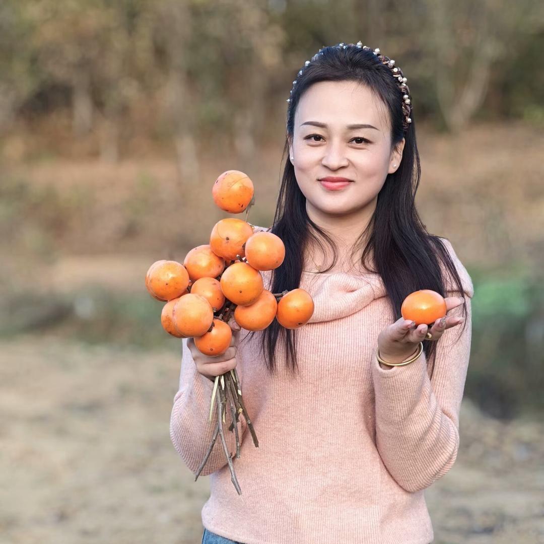 乡田小慰