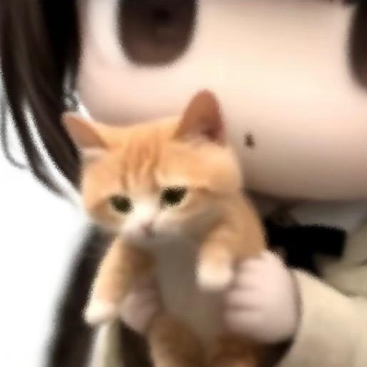 ㅤ ㅤ面包（无畏契约）