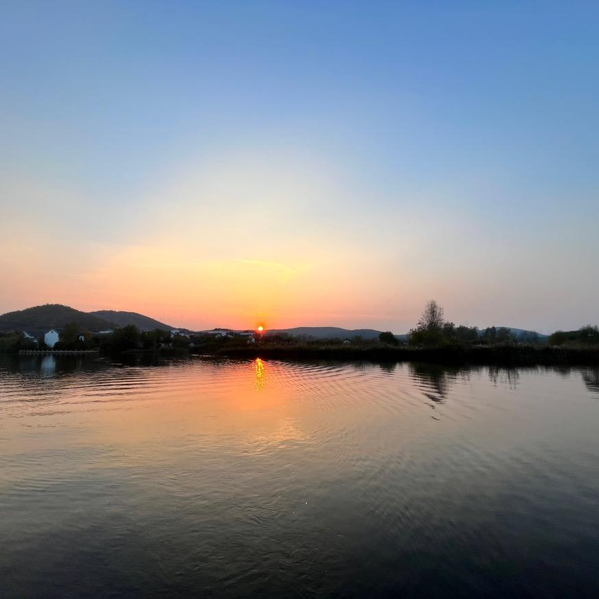 摸鱼🐟大师