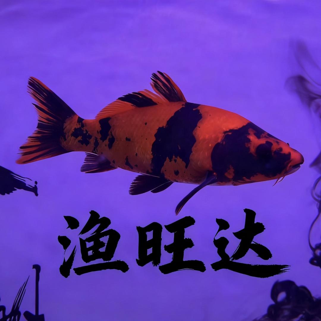 渔旺达精品店
