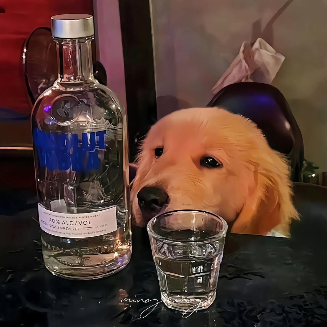 锅底大人