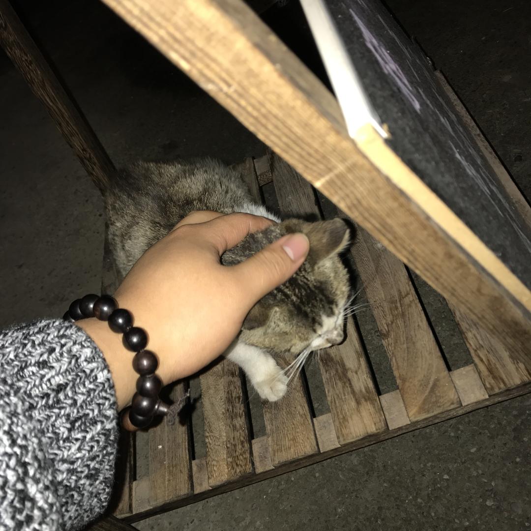 西红柿炒土豆