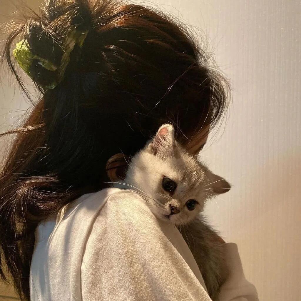 好大一卷卫生纸