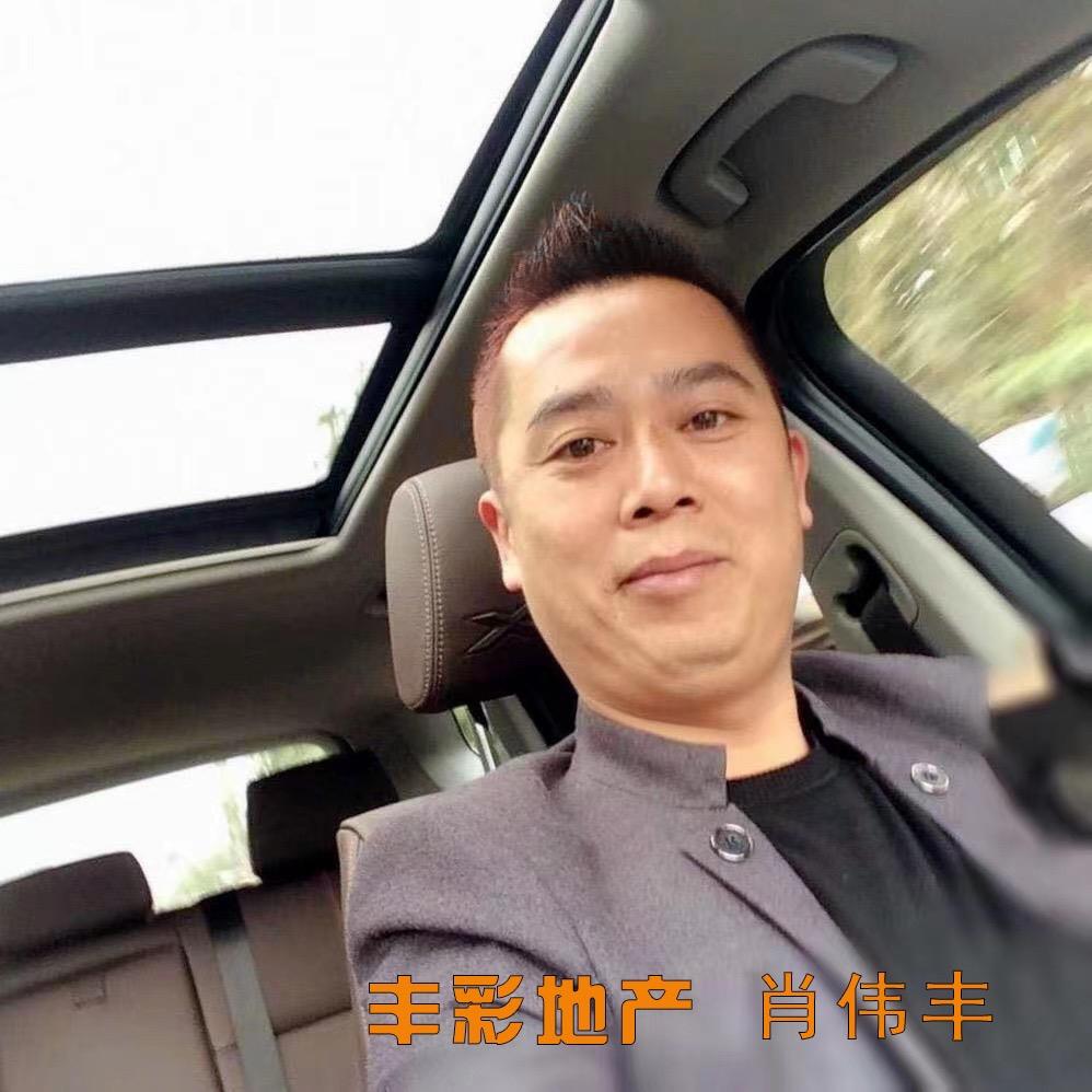 丰彩地产