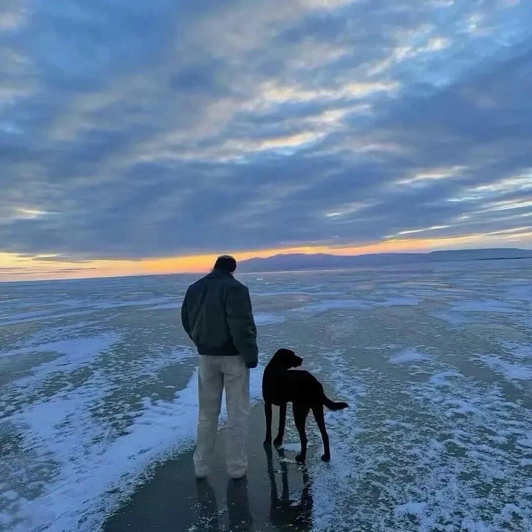 马铃薯不懂土豆