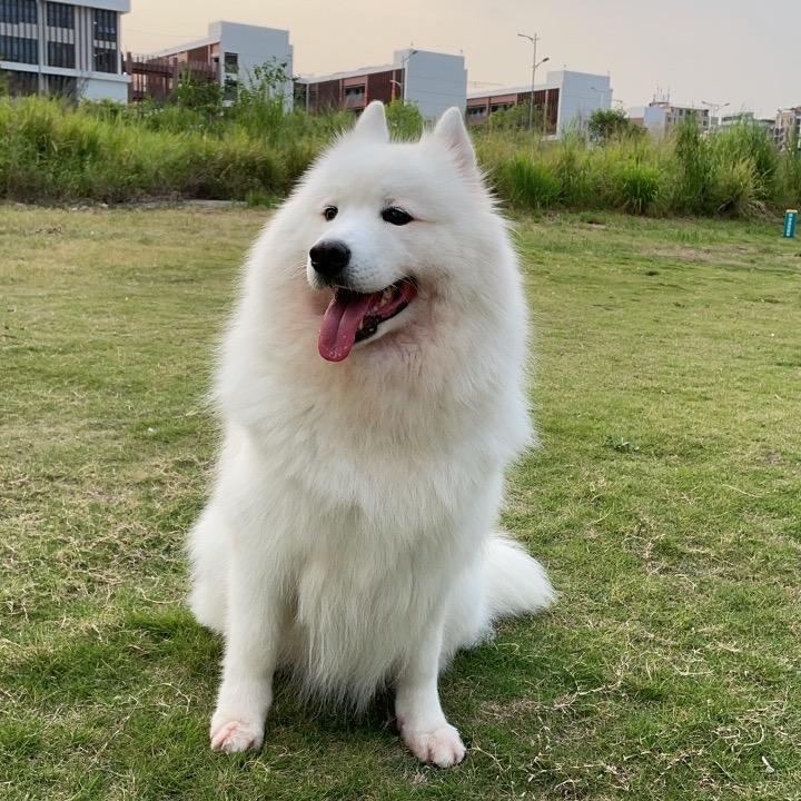 多多日记