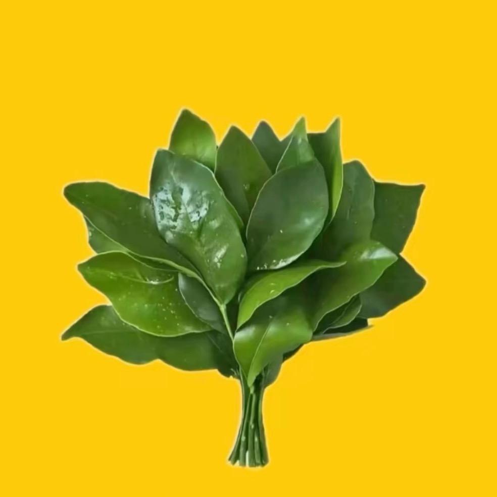 子严哥哥