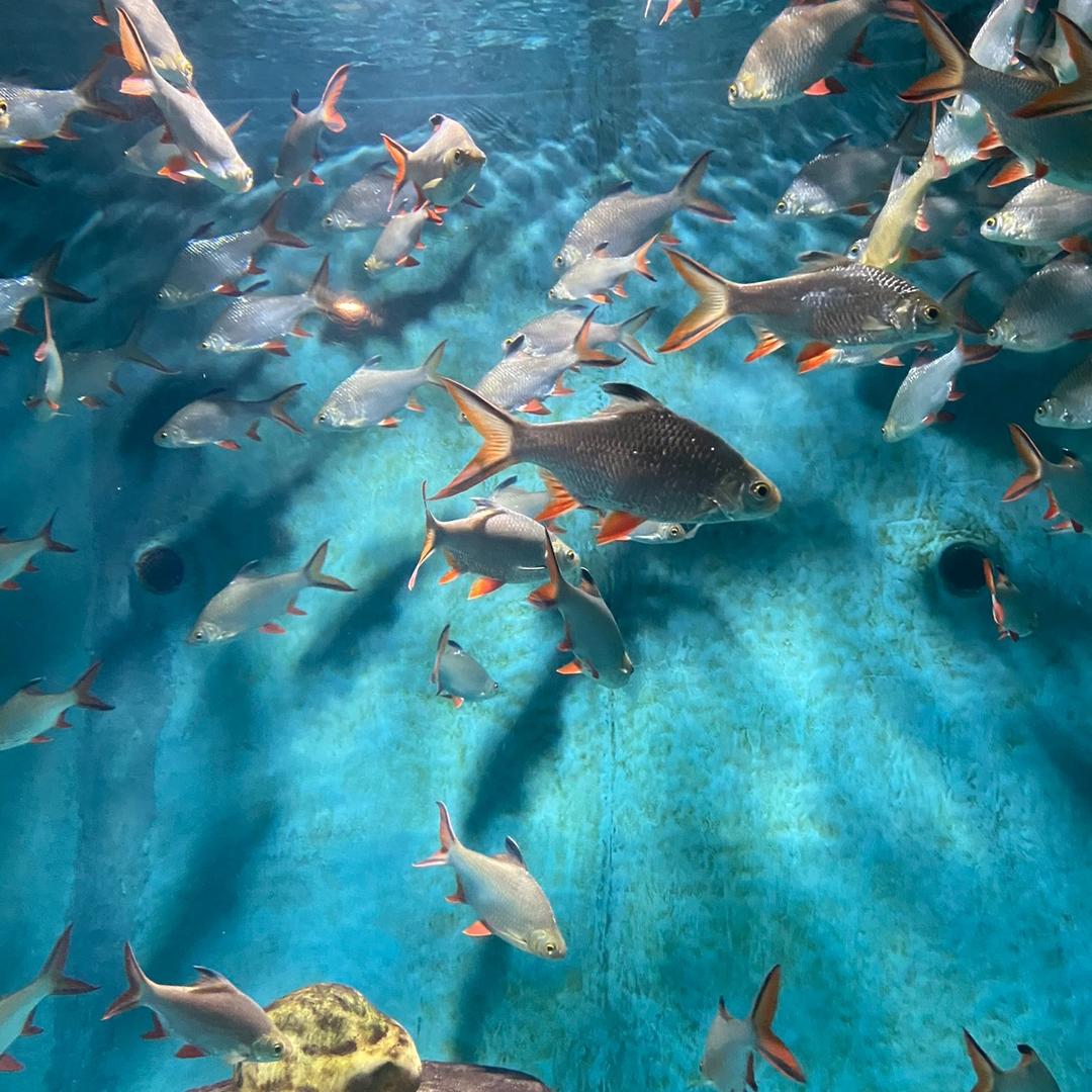 岁月无言亦安然