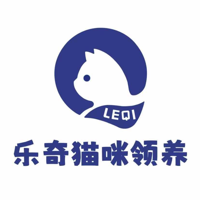 乐奇猫咪领养-郑州