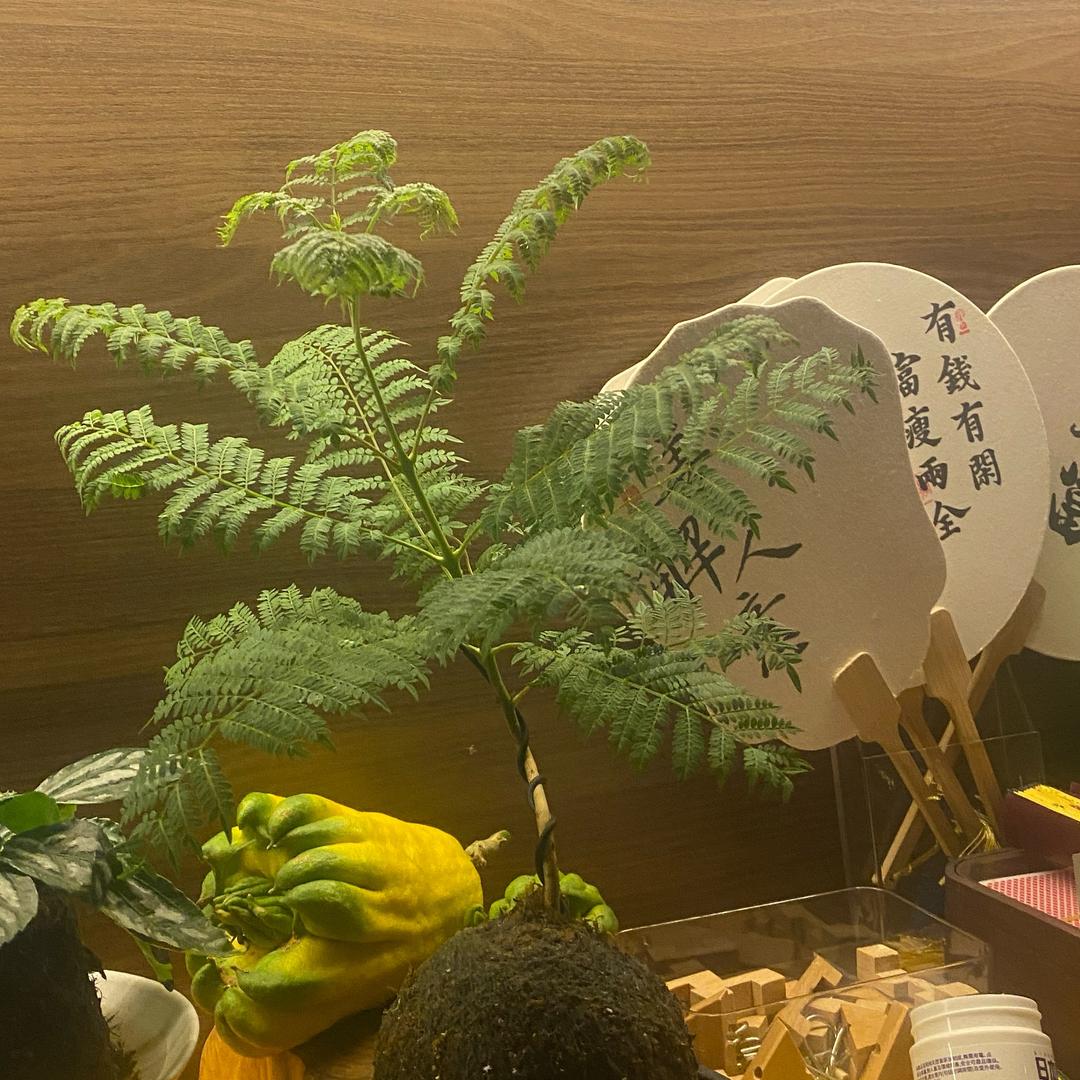 喜悦闺蜜圈