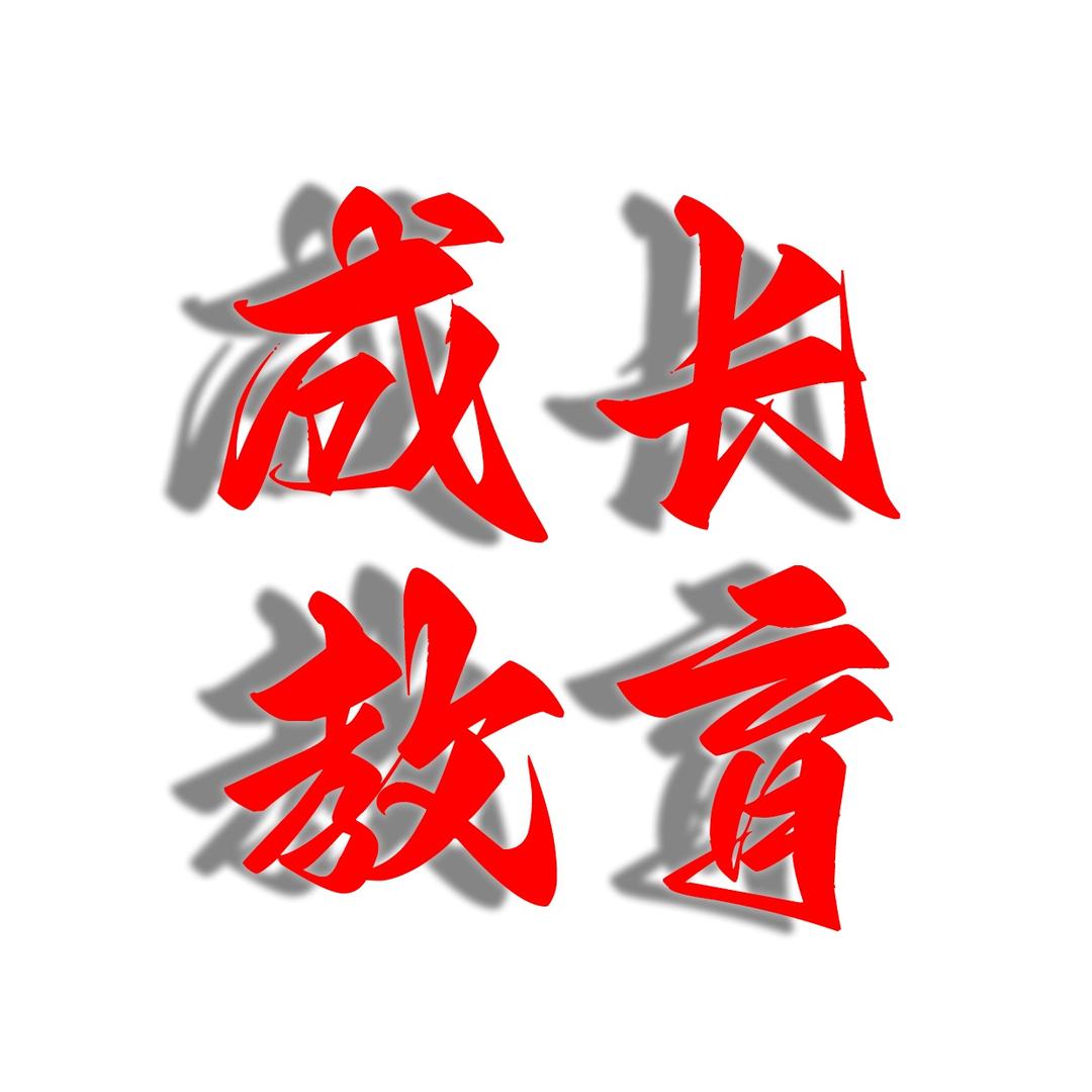 重庆博睿拓展训练有限公司