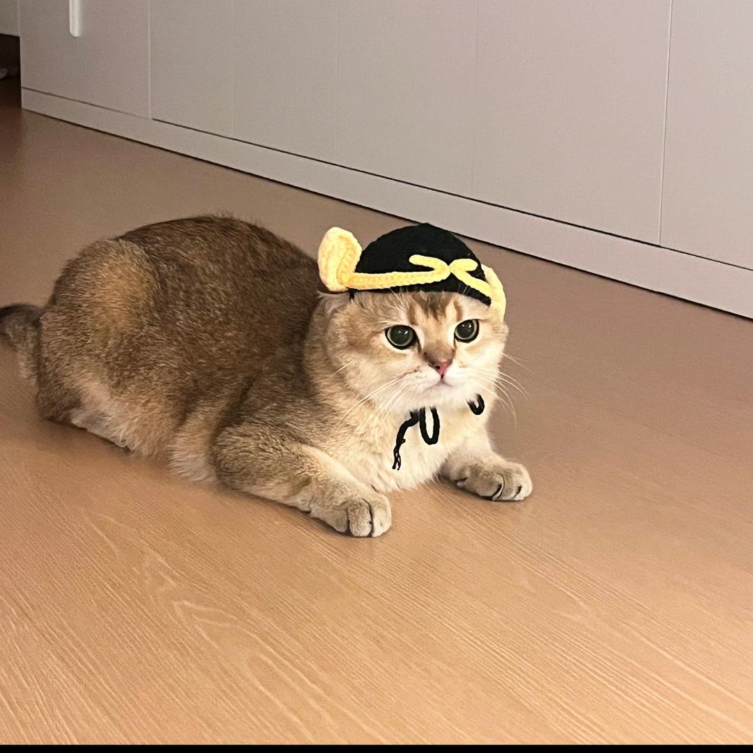 月半和二一