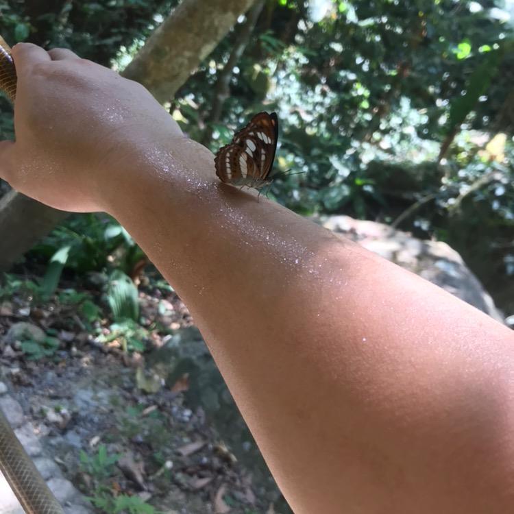 觀海聽濤