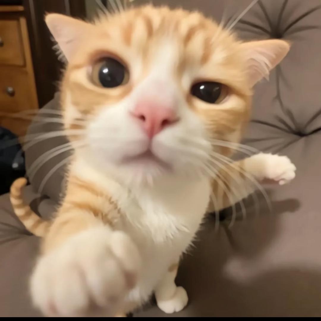 翟老师在南京（渠道