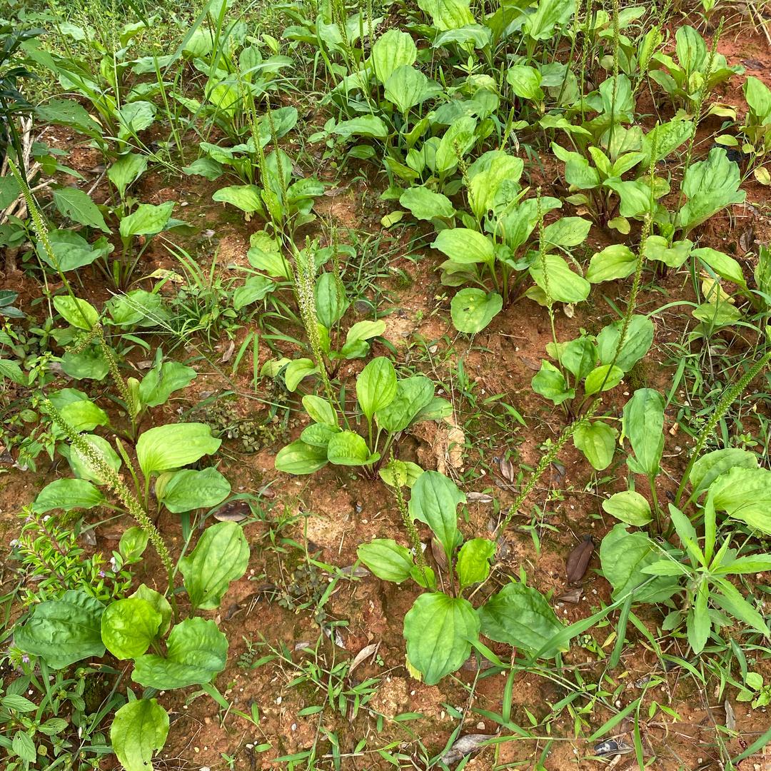 宁٩(๑•̀ω•́๑)۶静