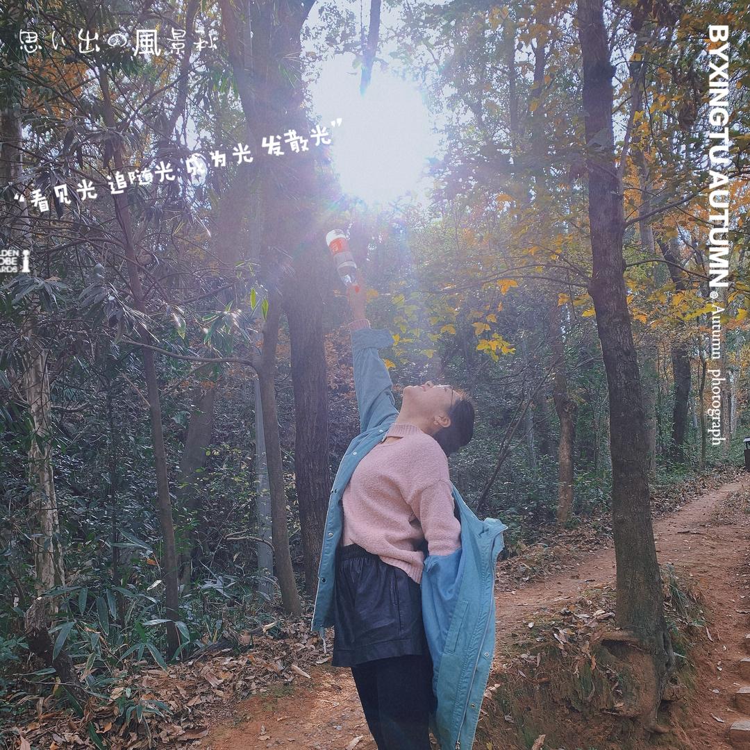 Wendy Zhang 👣