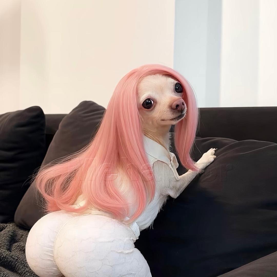 𝟭𝟭.𝟭𝟮🐾