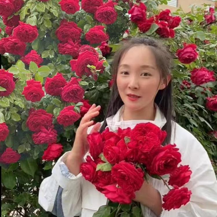 苏苑花卉旗舰店
