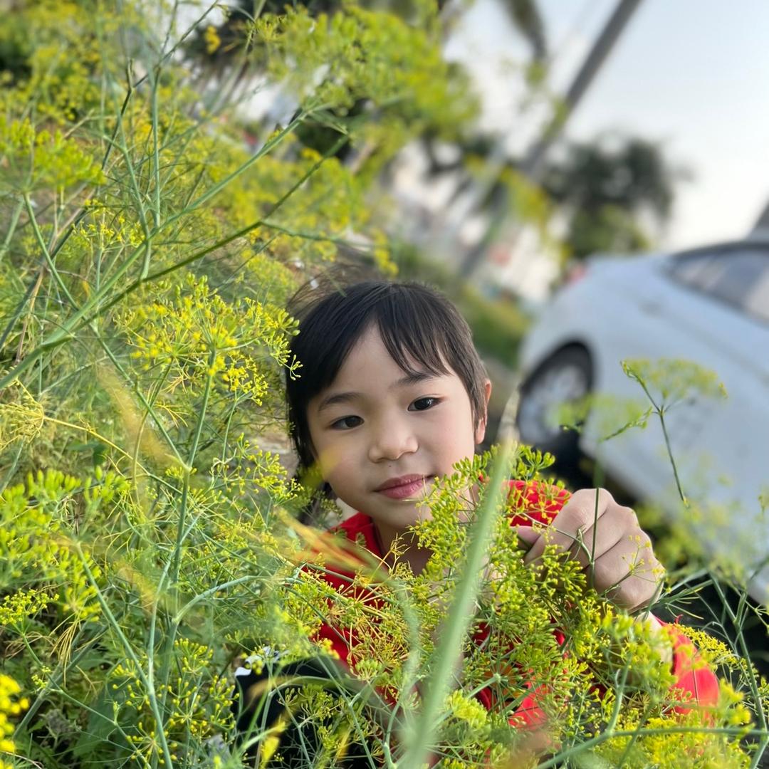 一只想飞的猫吖