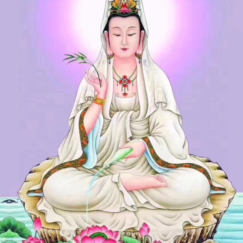 板蓝根，白芷，白芍，丹皮，白术，连翘大黄